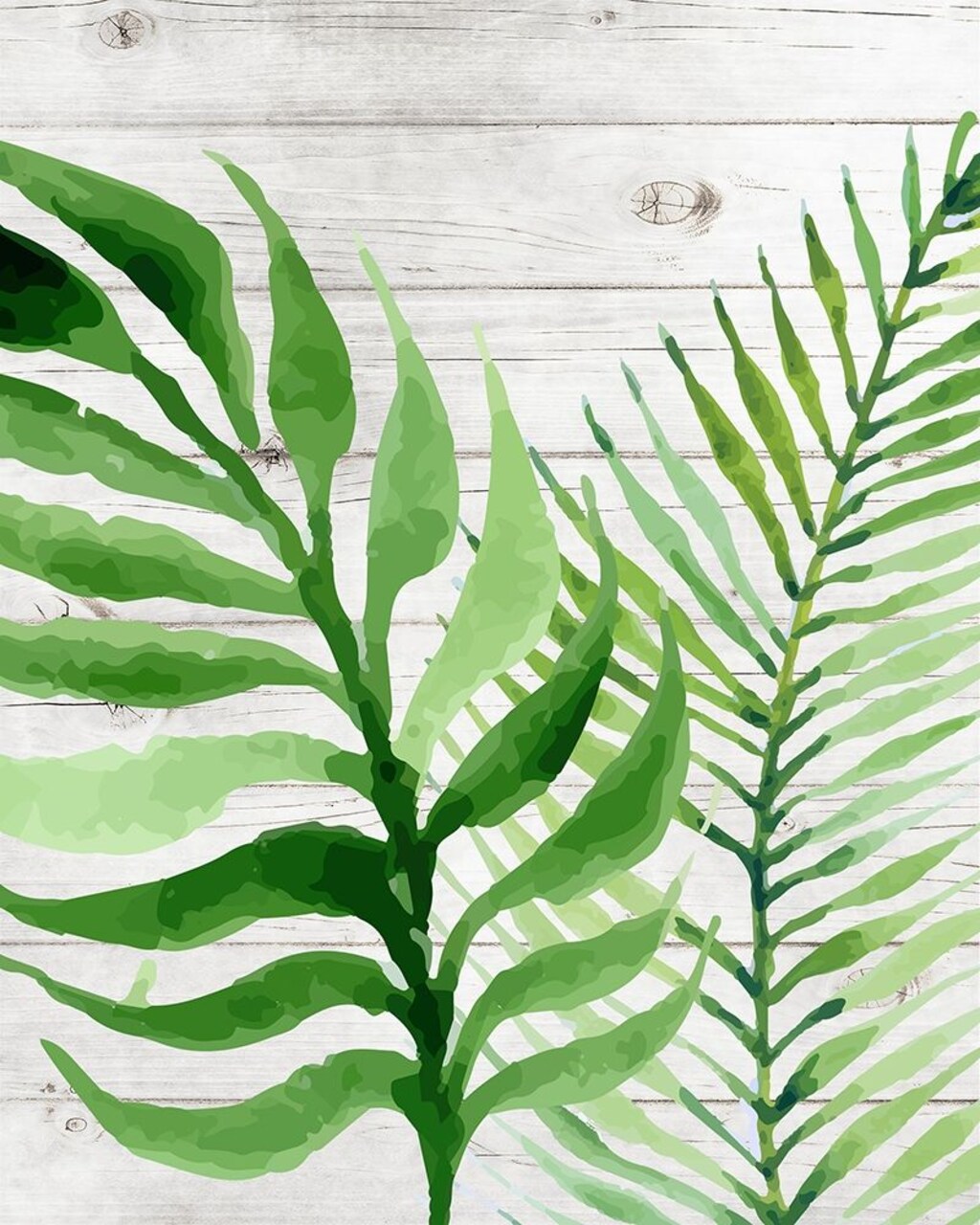 Banana Leaf II Poster Print by Tamara Robinson - Item # VARPDXTR1977